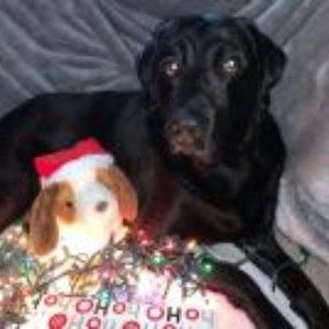 Meet your Posher, Mikayla